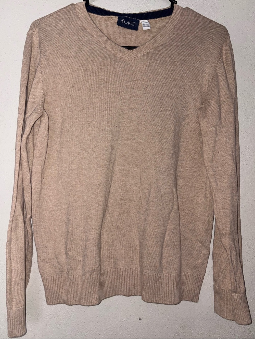 Place V-Neck Sweater in Tan